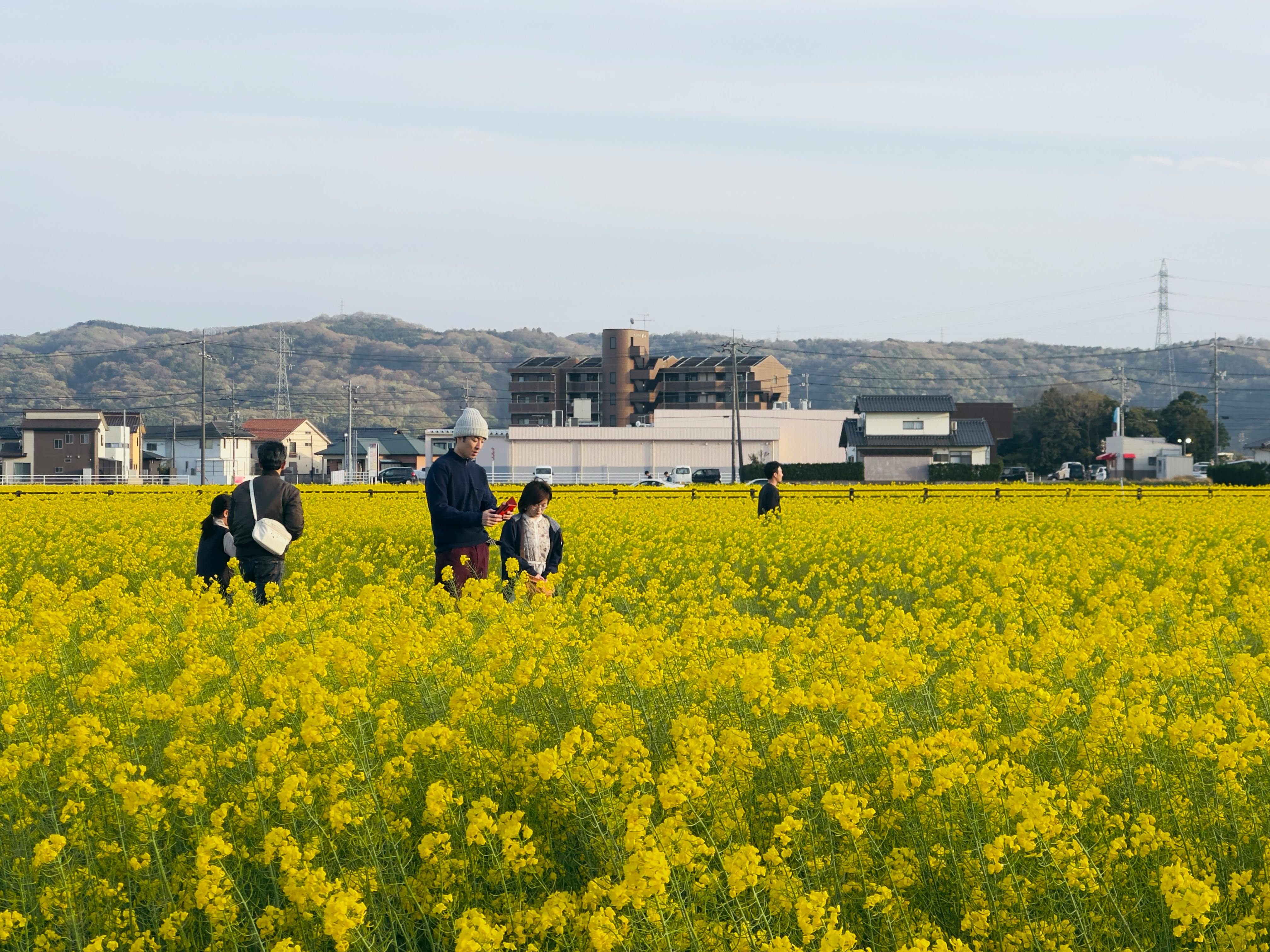 千葉県